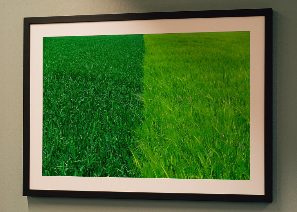 Dva odstíny zelené