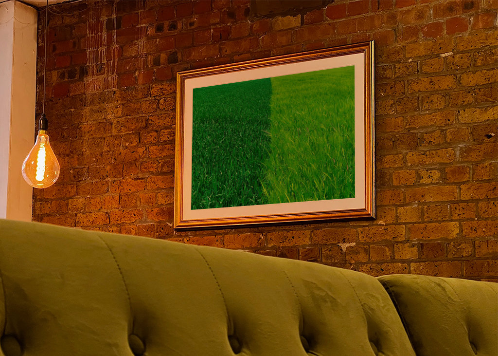 Dva odstíny zelené