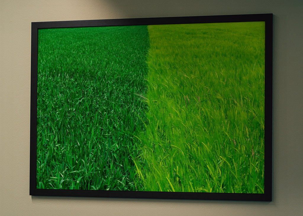 Dva odstíny zelené