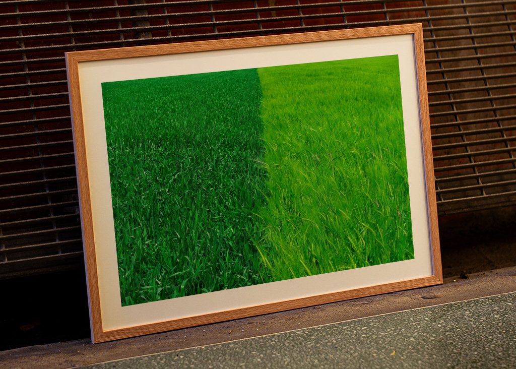 Dva odstíny zelené