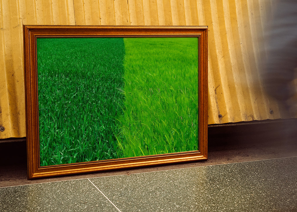 Dva odstíny zelené