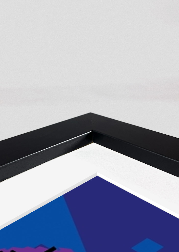 polo g pop art style