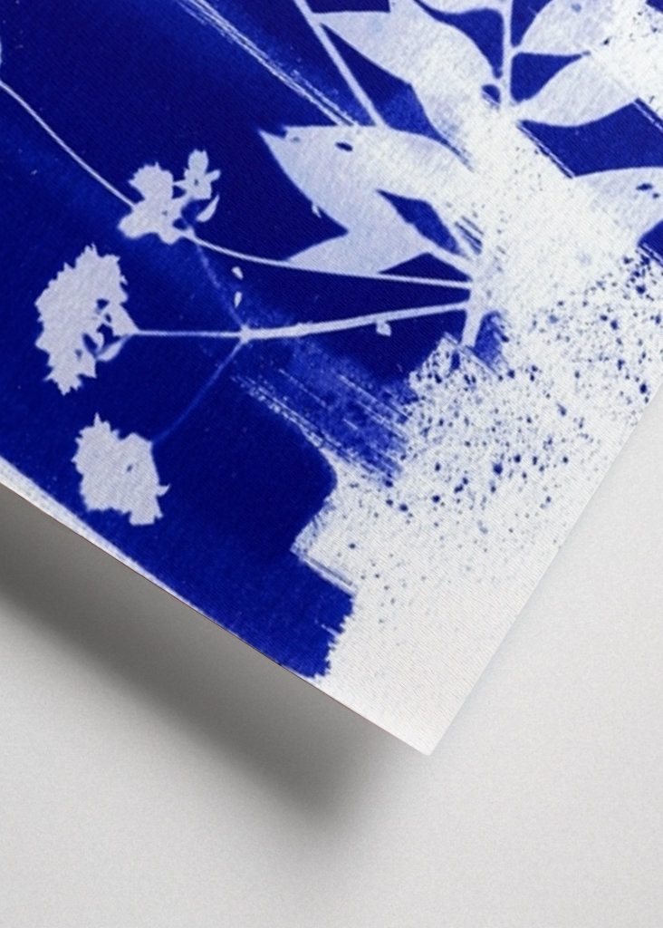 Dunkelblaue getrocknete Blüten Poster von Lies Praet | Printler