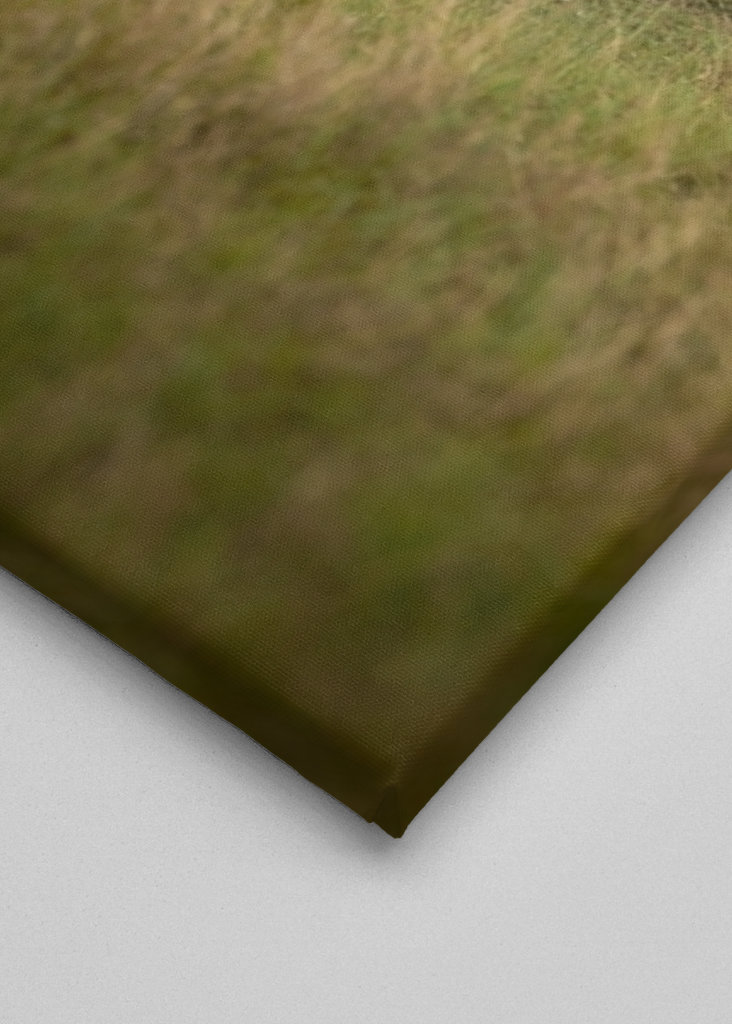 Massai Maras Geoparder