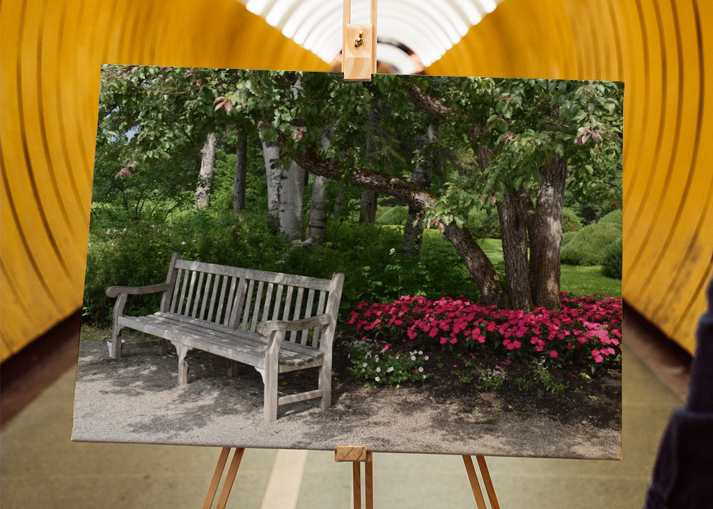 Een bankje in het park in de zomer
