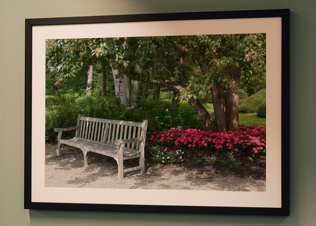 Een bankje in het park in de zomer