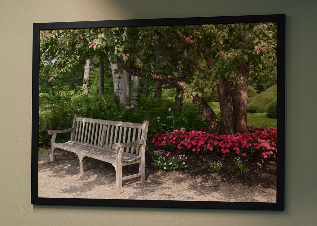 Een bankje in het park in de zomer