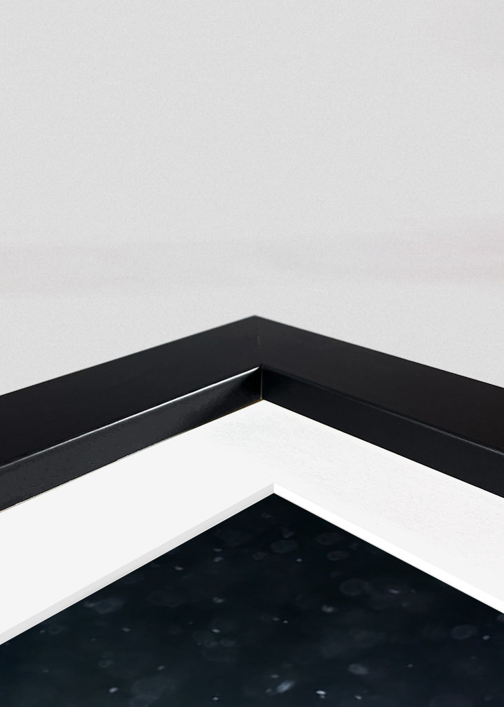 Zimní orel mořský