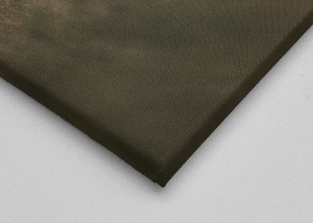 Schafe auf der Weide