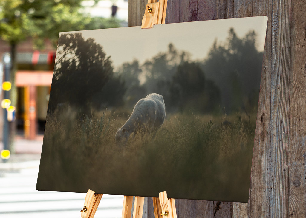 Schafe auf der Weide