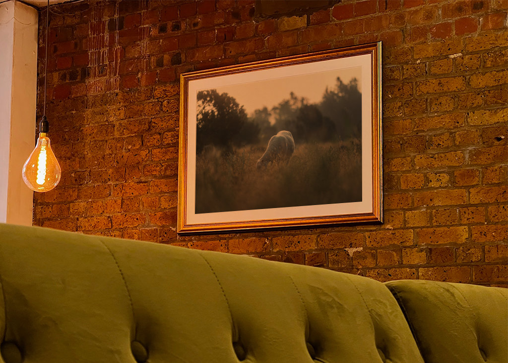 Schafe auf der Weide