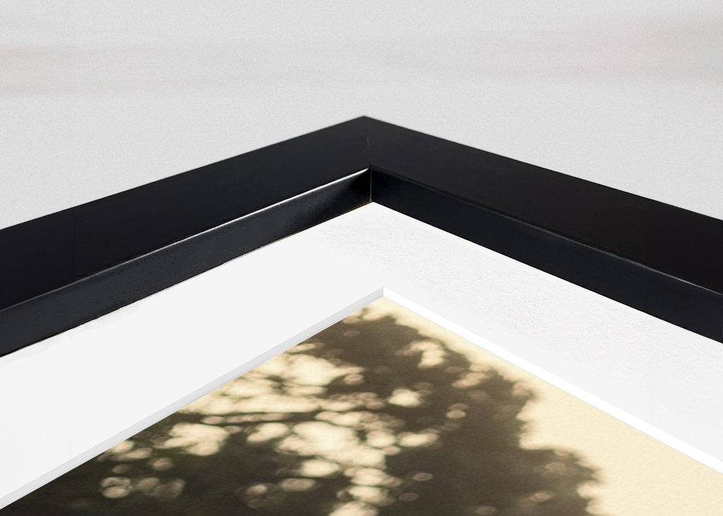 Schafe auf der Weide