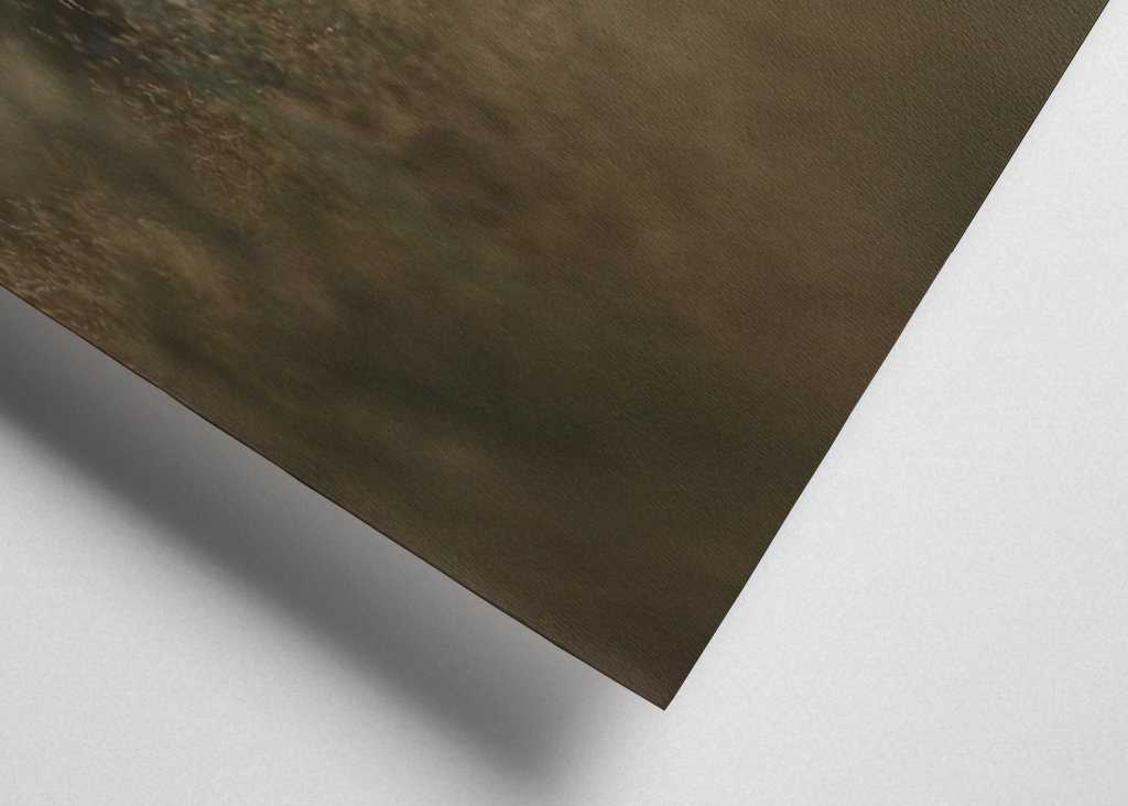 Schafe auf der Weide