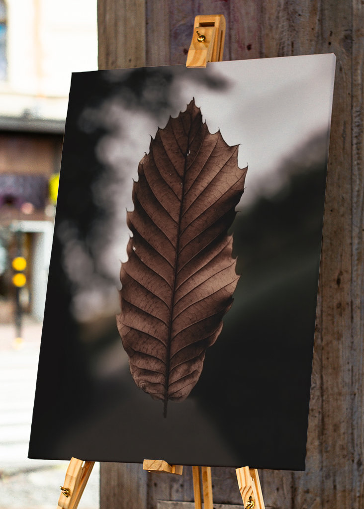 Hoja marchita flotante