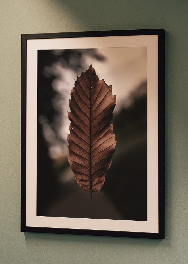 Hoja marchita flotante