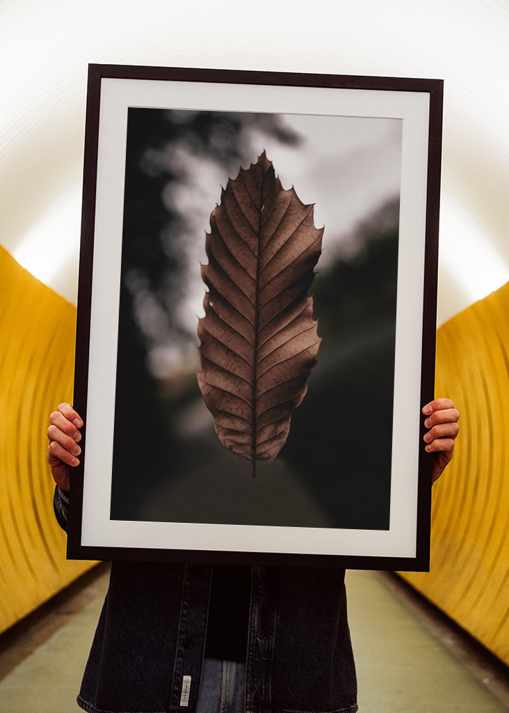 Hoja marchita flotante