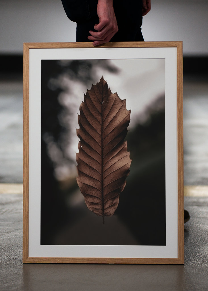 Hoja marchita flotante