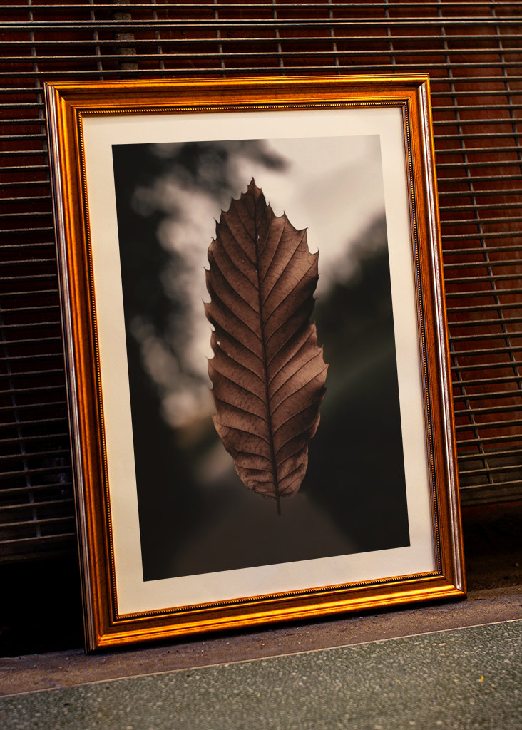 Hoja marchita flotante