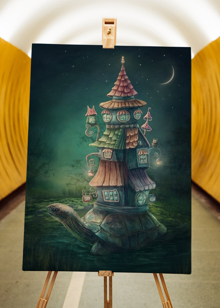 Želva se svým domem