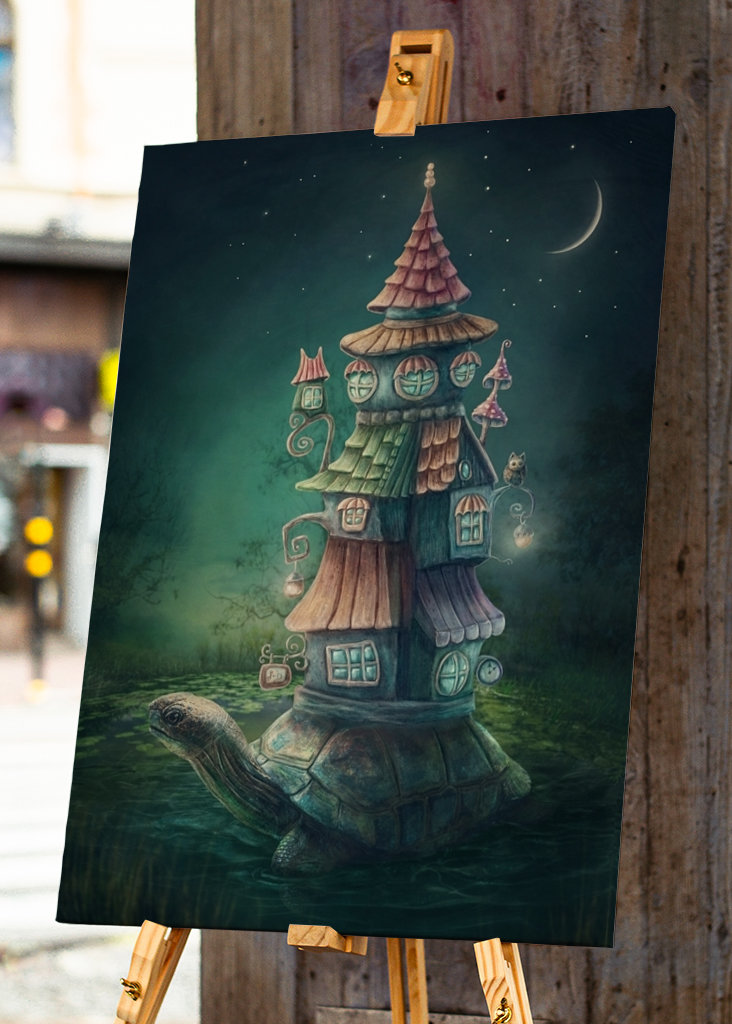 Želva se svým domem