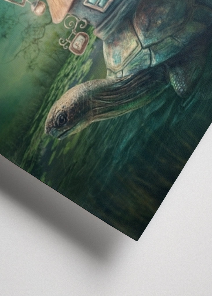 Želva se svým domem