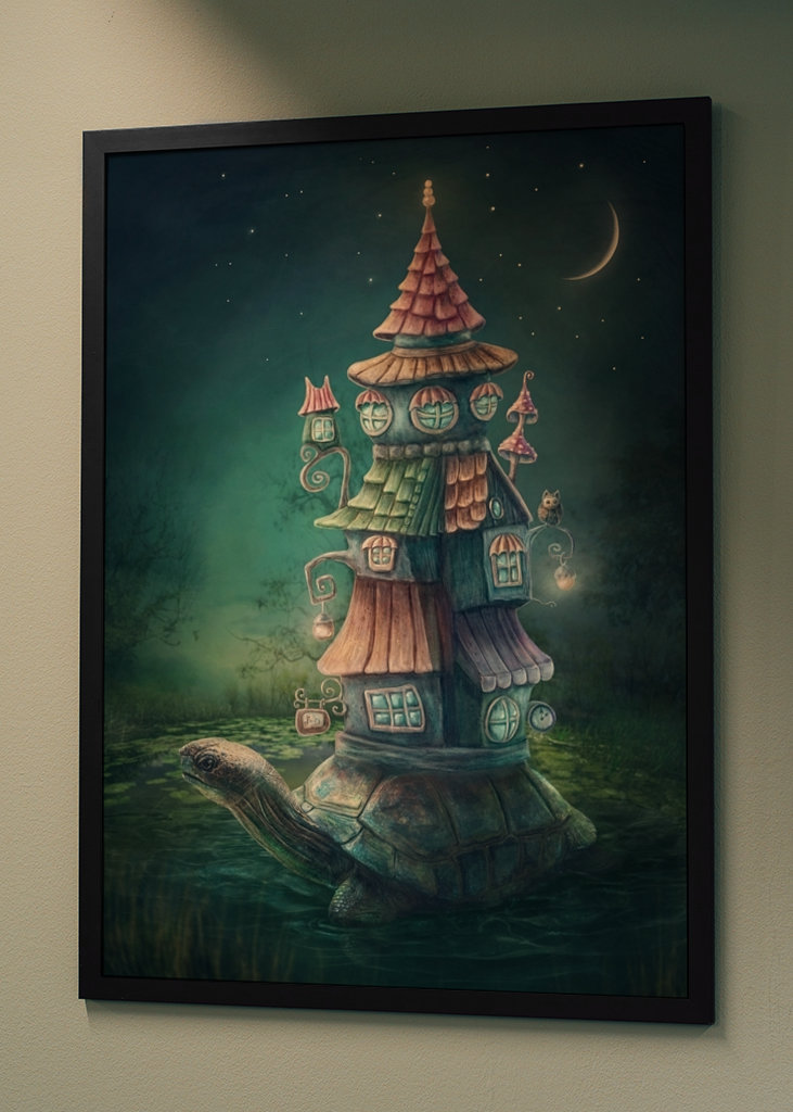 Želva se svým domem