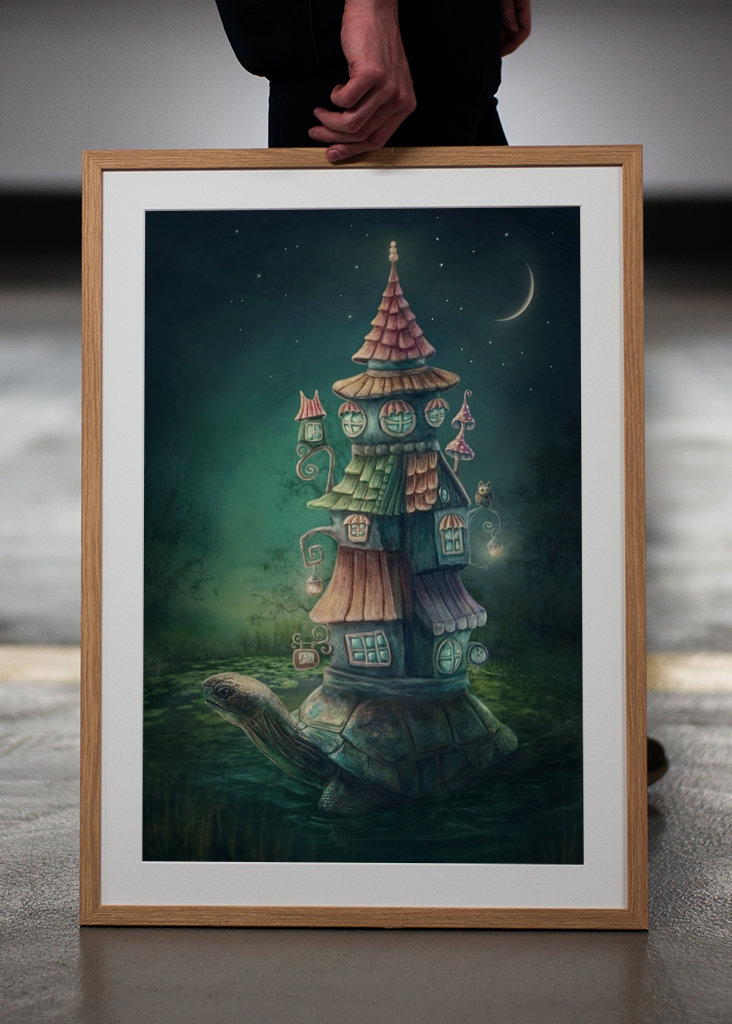 Želva se svým domem