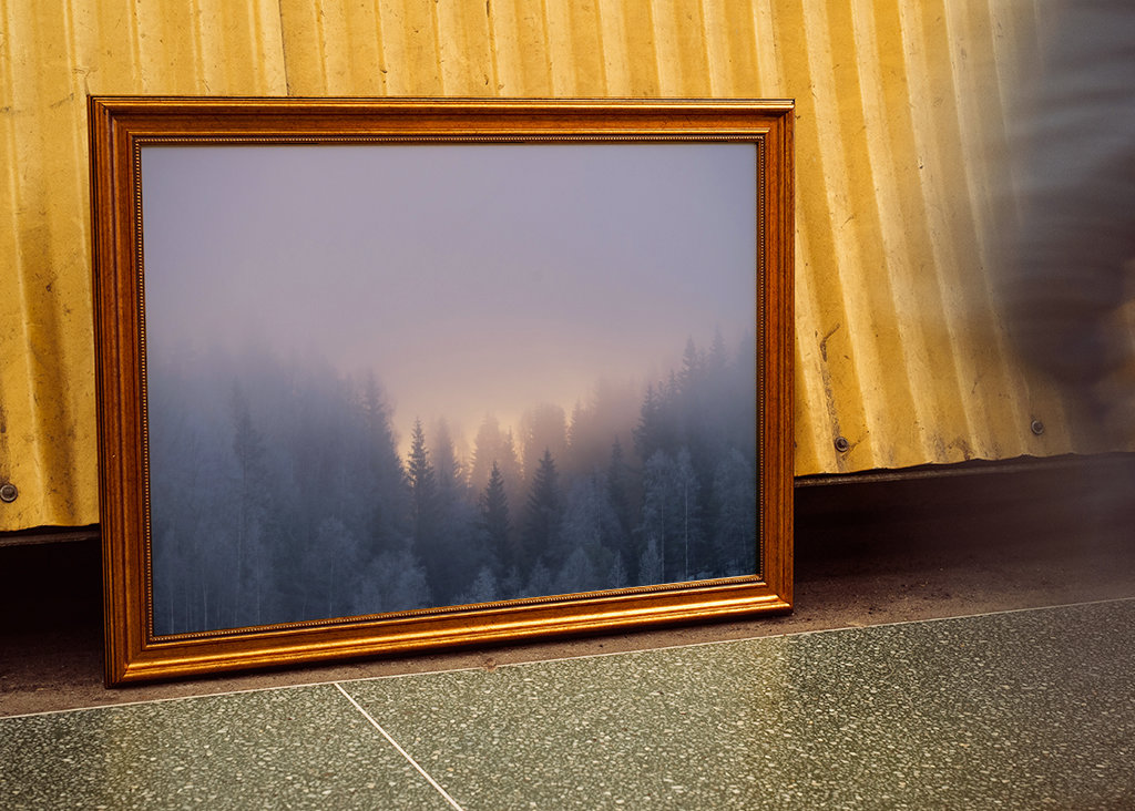 Winter trees in sunrise pastel