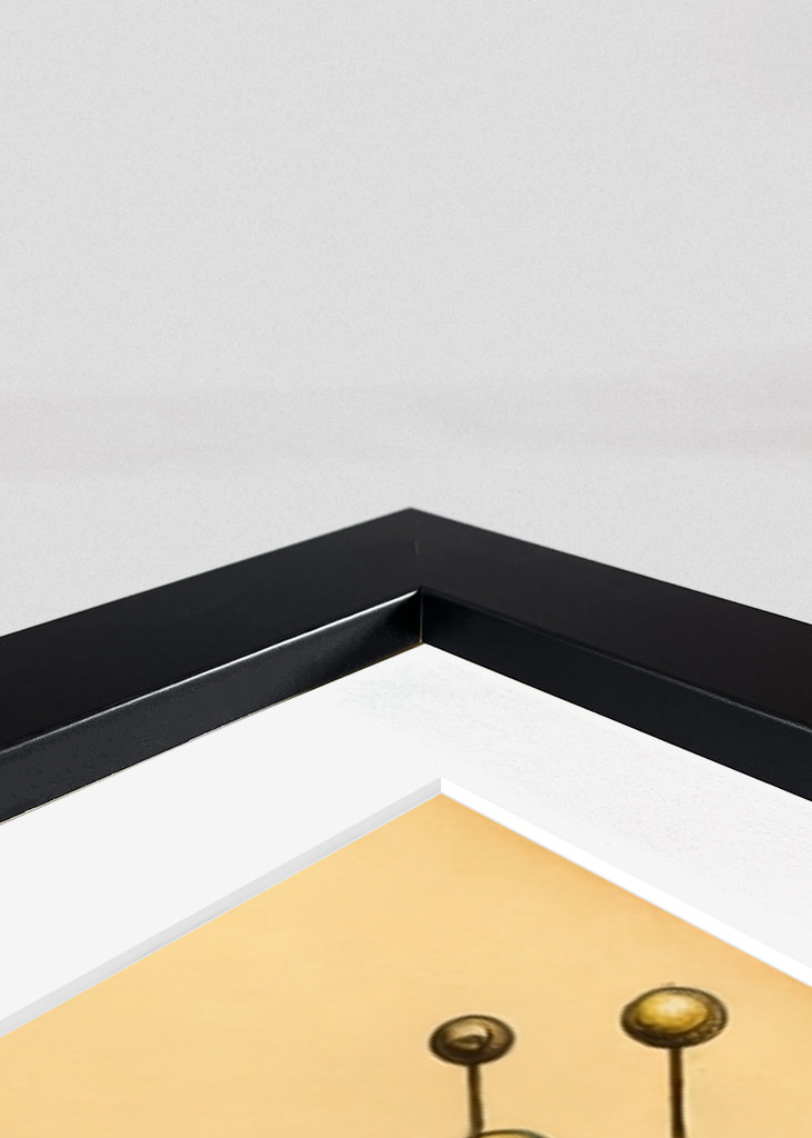 Codex Wütende Karikatur 9