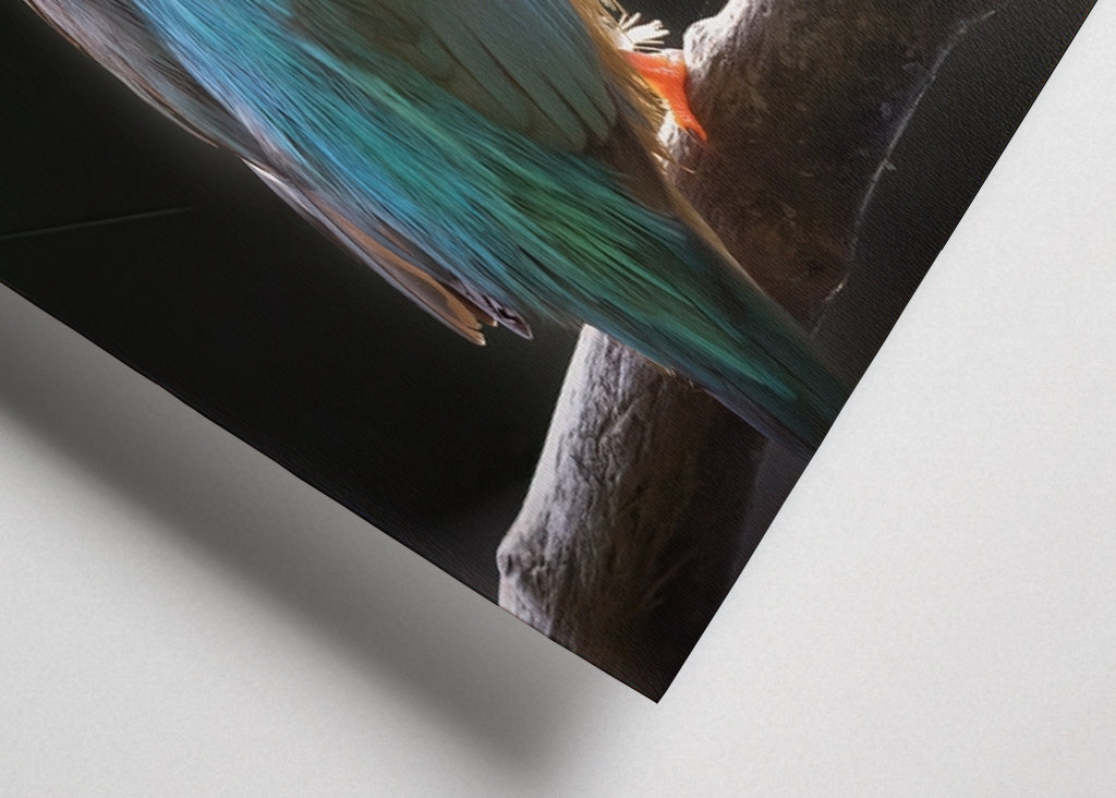 Rybář se zamýšlí