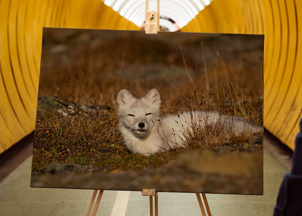 Derűs késő őszi napok