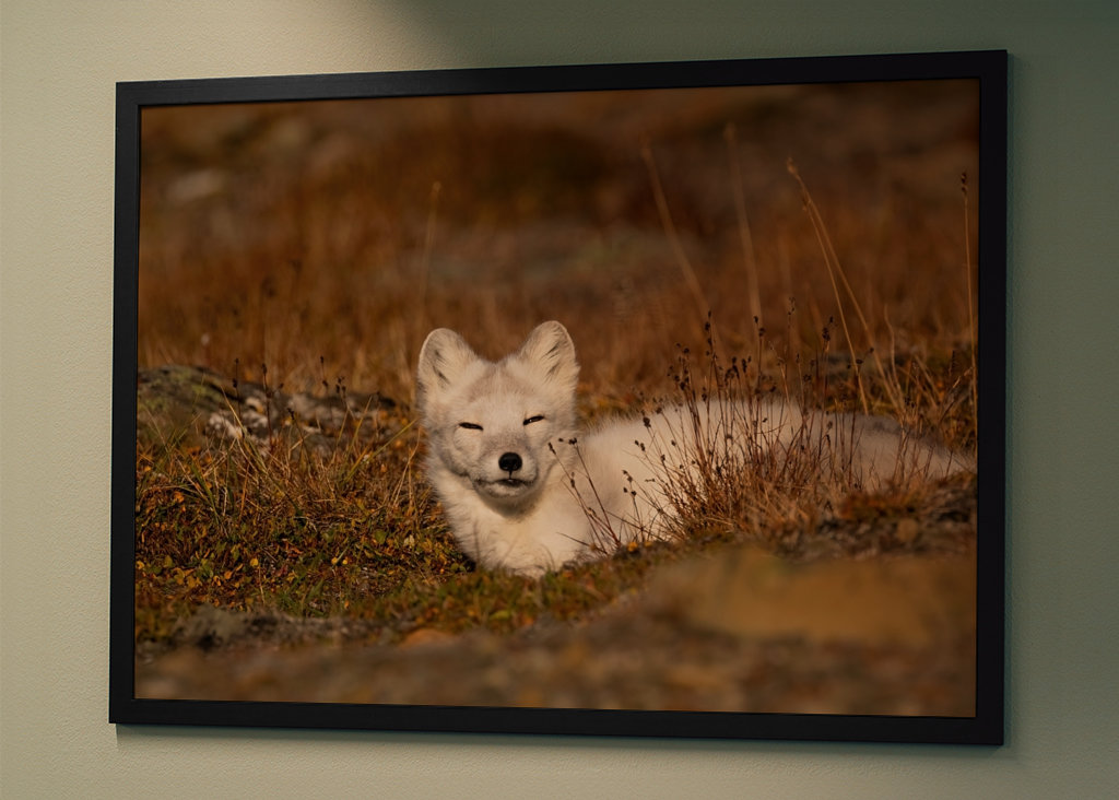 Derűs késő őszi napok