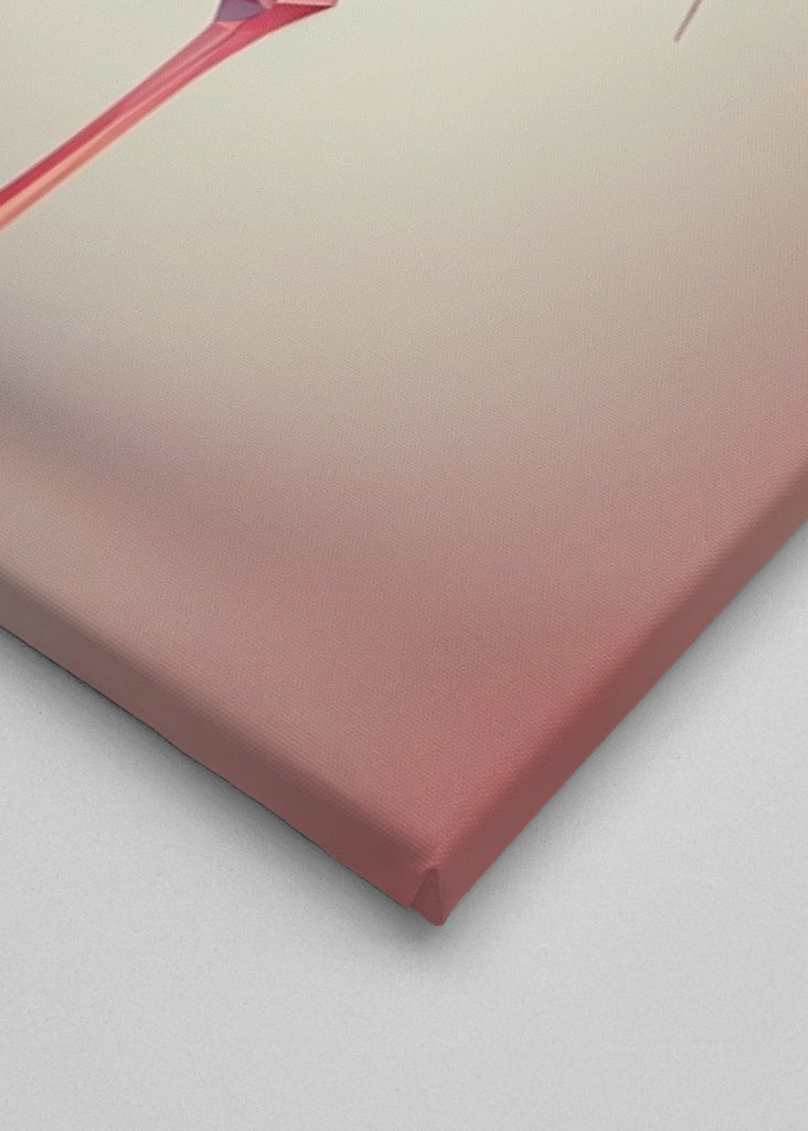 Basso poligonottero fenicottero