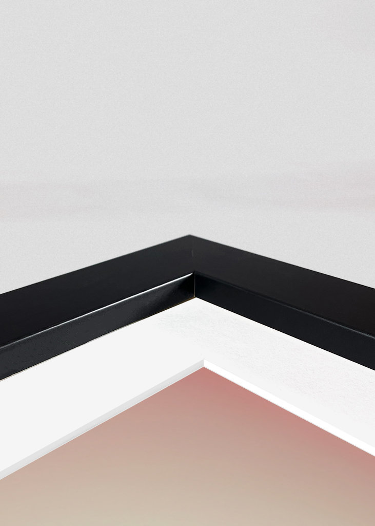 Basso poligonottero fenicottero