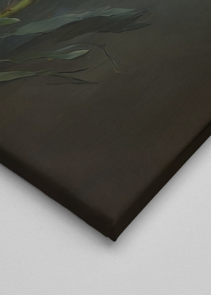 Flor Blanca de Primavera 1