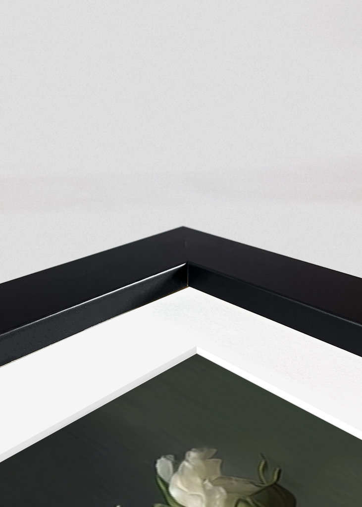 Flor Blanca de Primavera 1