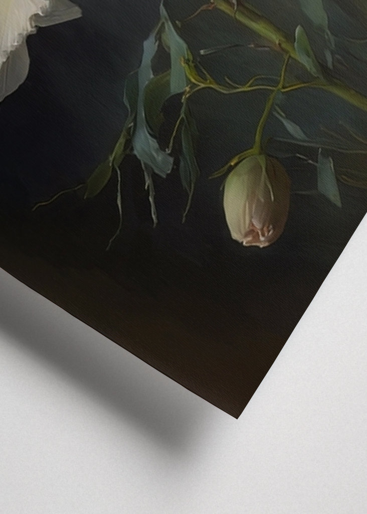 Flor Blanca de Primavera 1