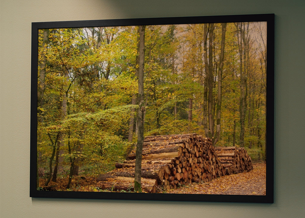 Holz im Herbstwald