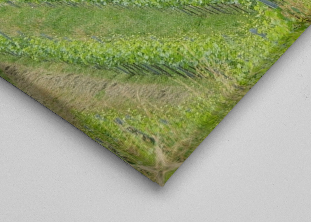 two trees in the green