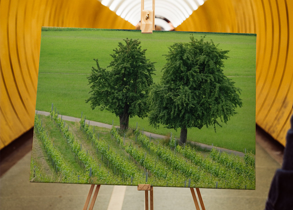 two trees in the green