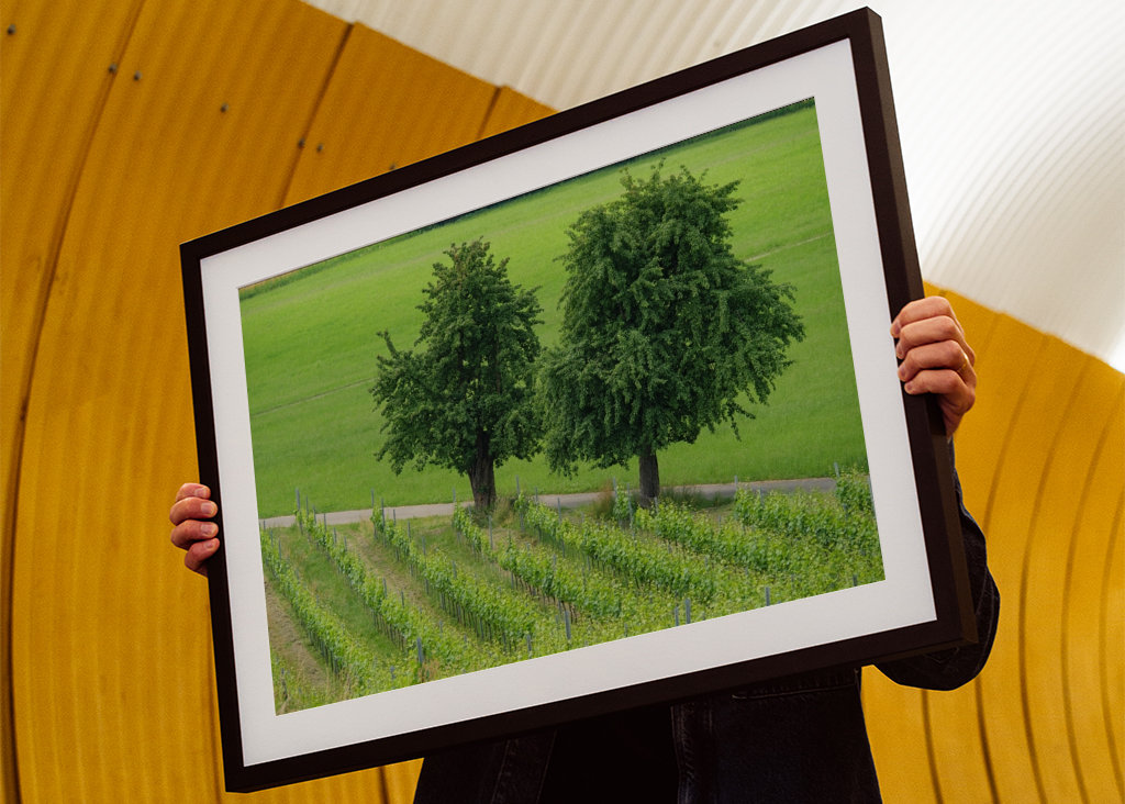 two trees in the green