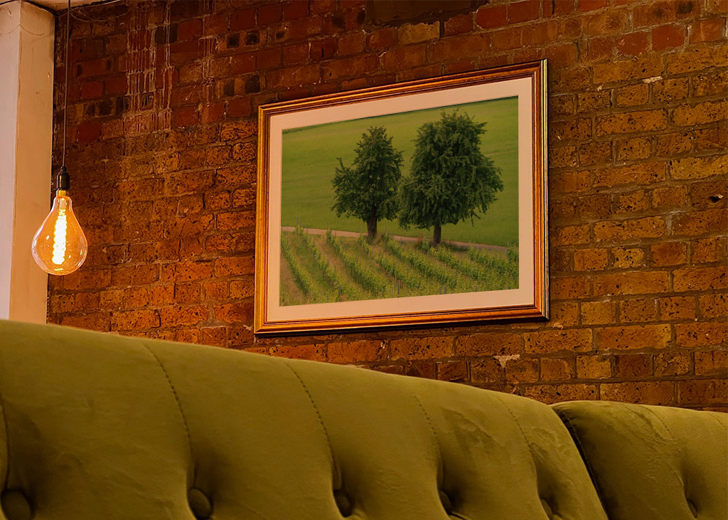 two trees in the green