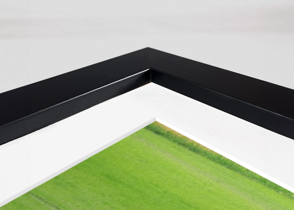 two trees in the green