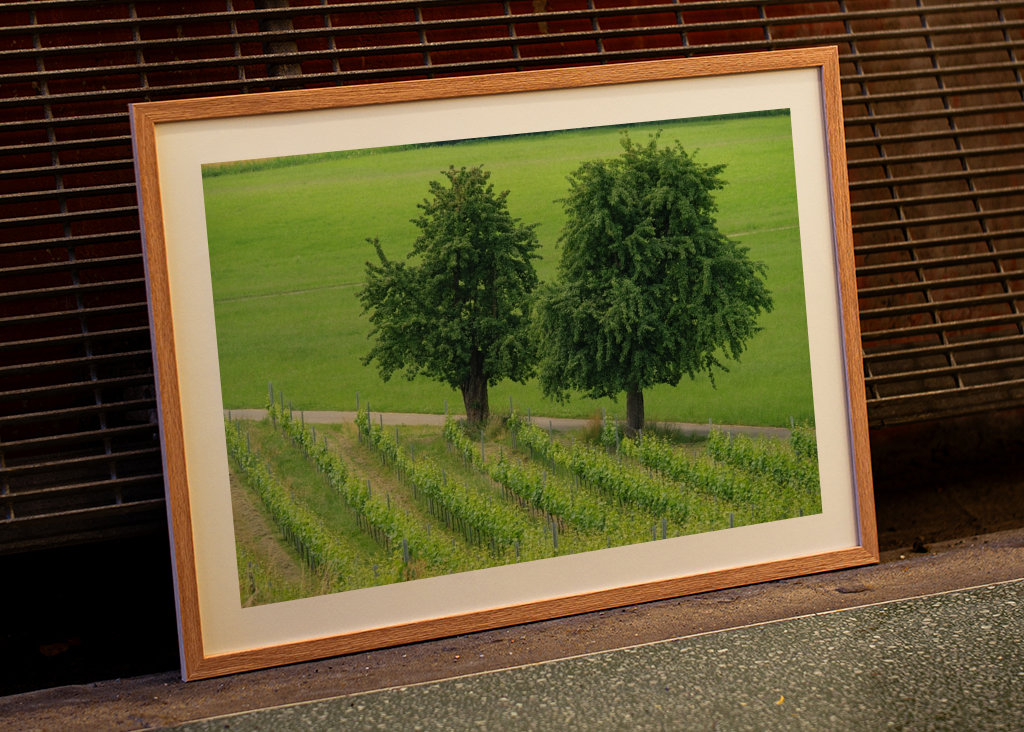 two trees in the green