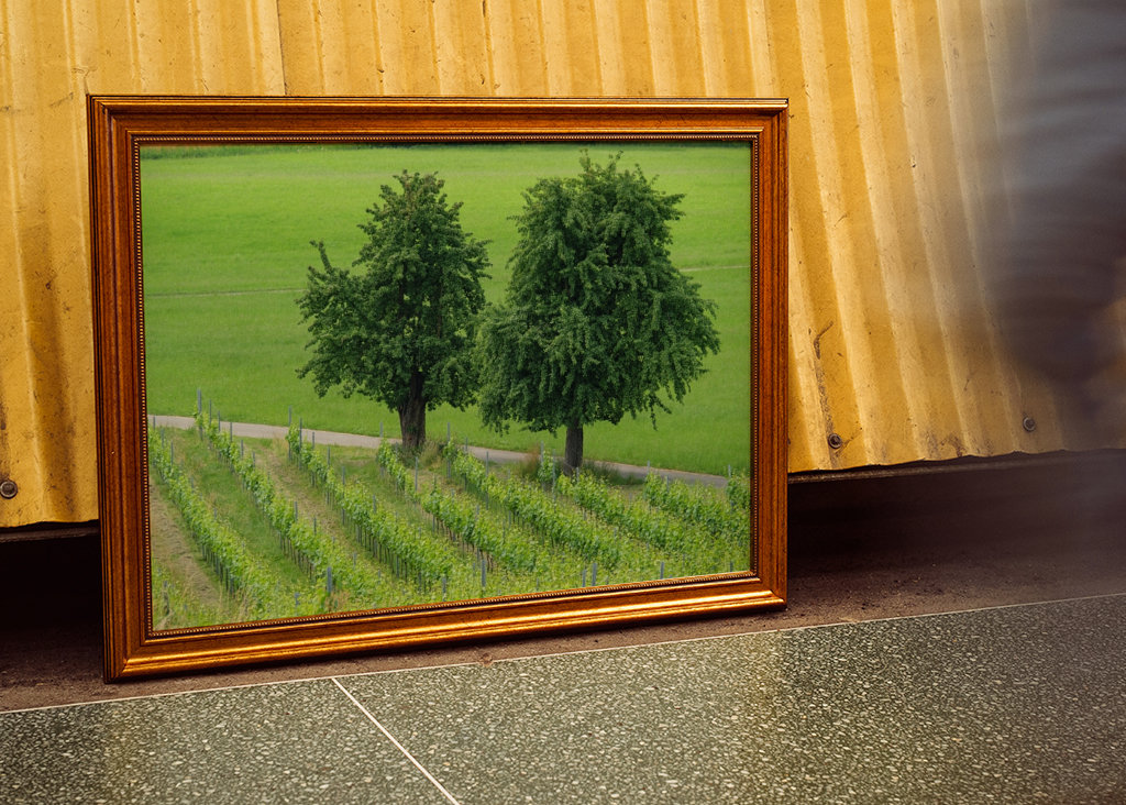 two trees in the green