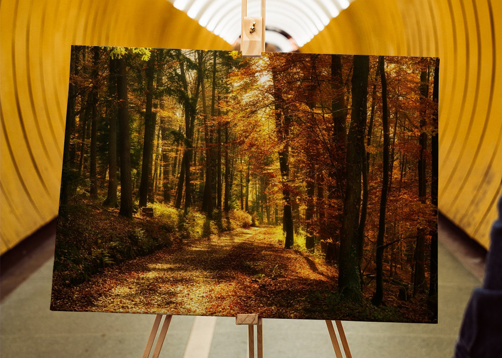 Um caminho na floresta de outono