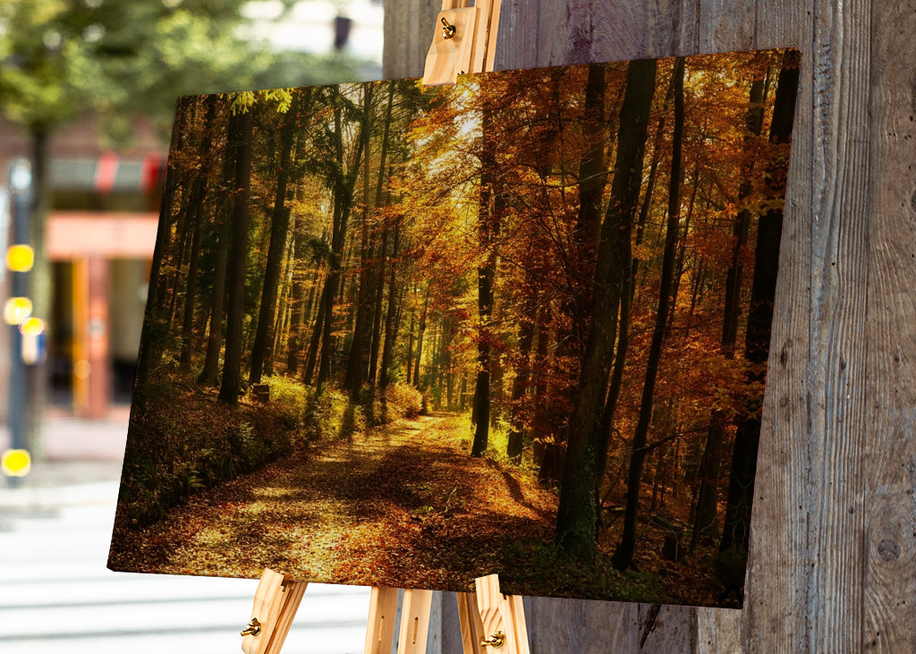 Um caminho na floresta de outono