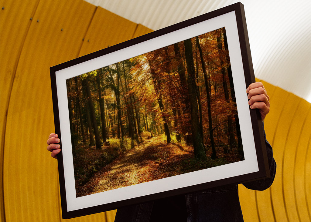 Um caminho na floresta de outono