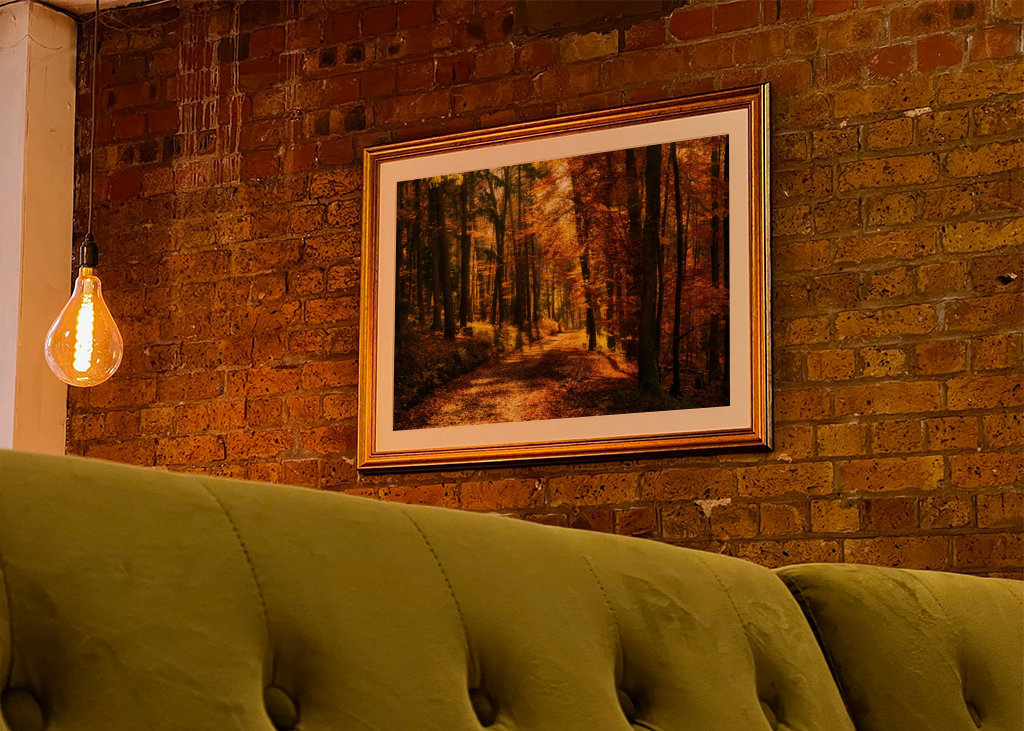 Um caminho na floresta de outono