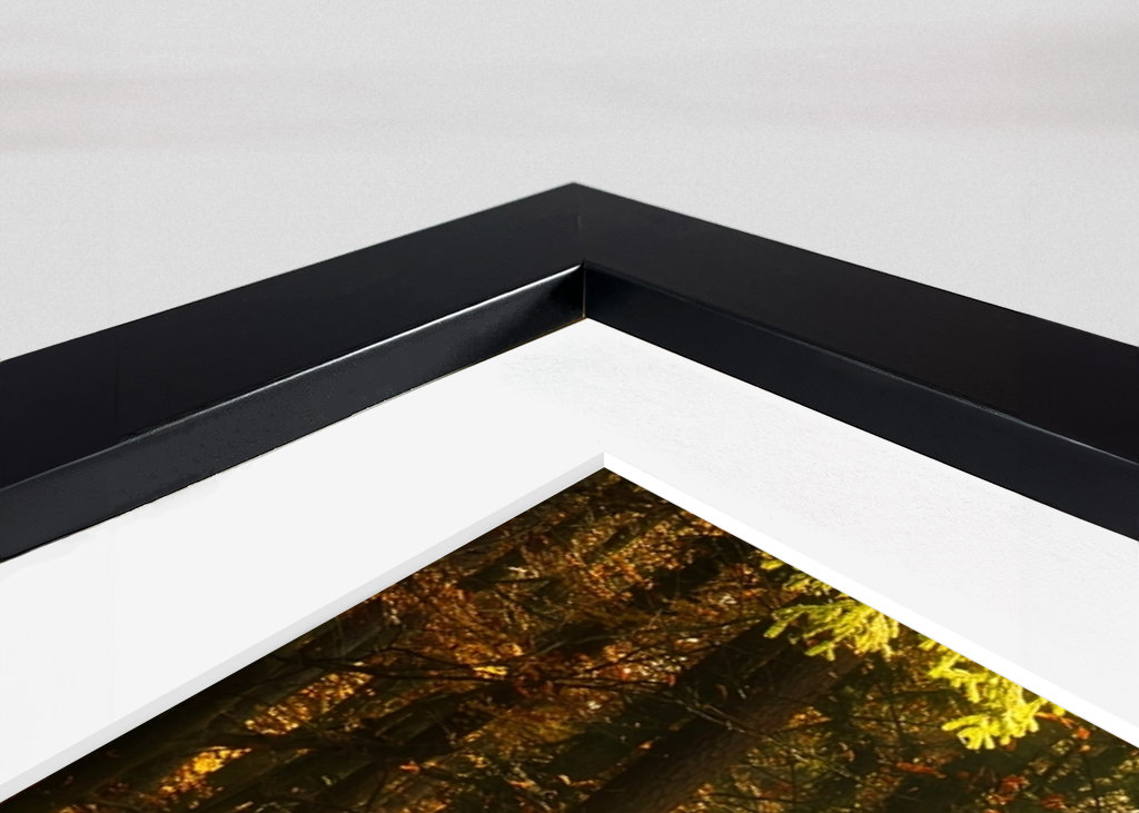 Um caminho na floresta de outono